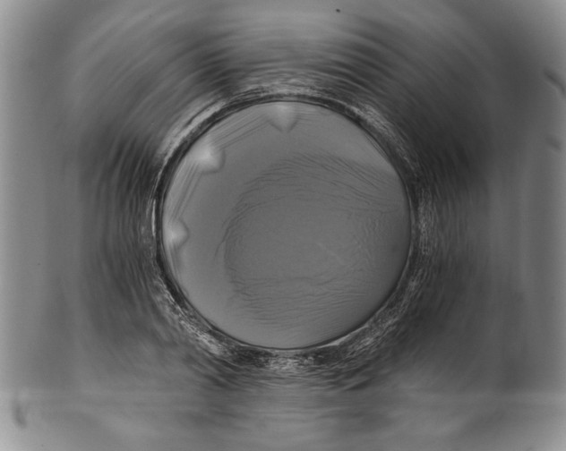 X0000100760790200807171341