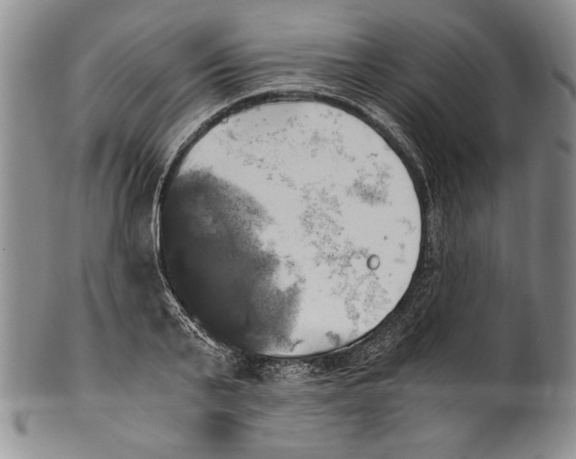 X0000100760791200807171341