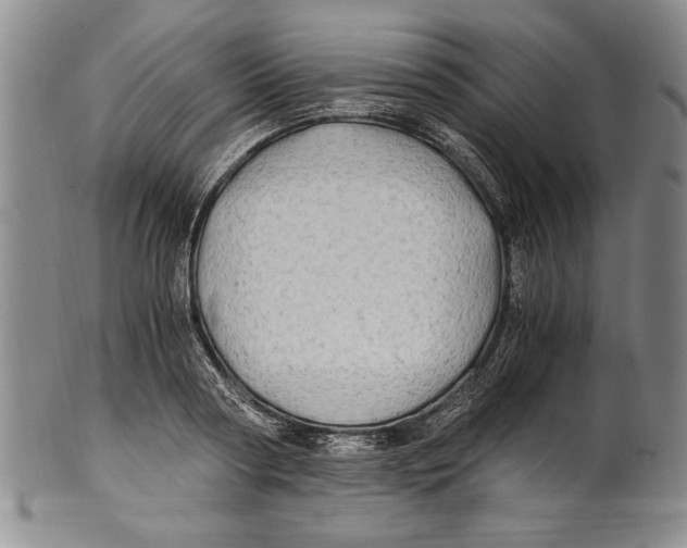 X0000100760794200807171341
