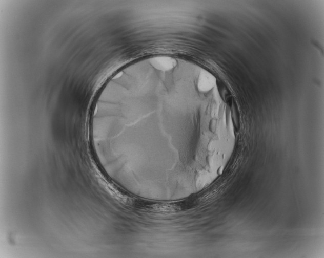 X0000100760795200807171341