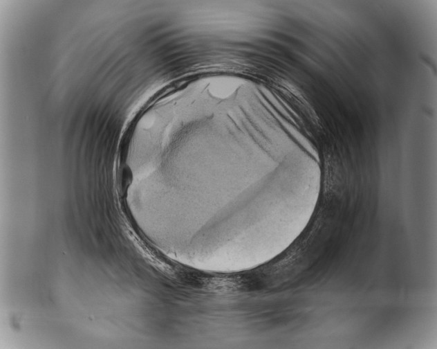 X0000100760796200807171341