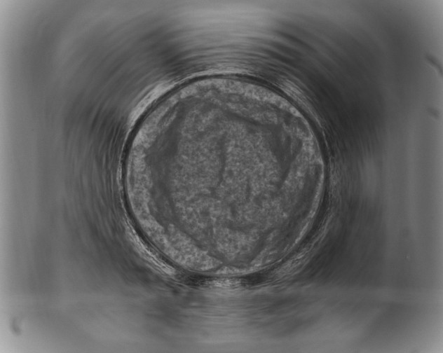 X0000100760797200807171341