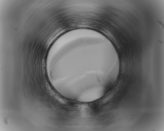 X0000100760798200807171340