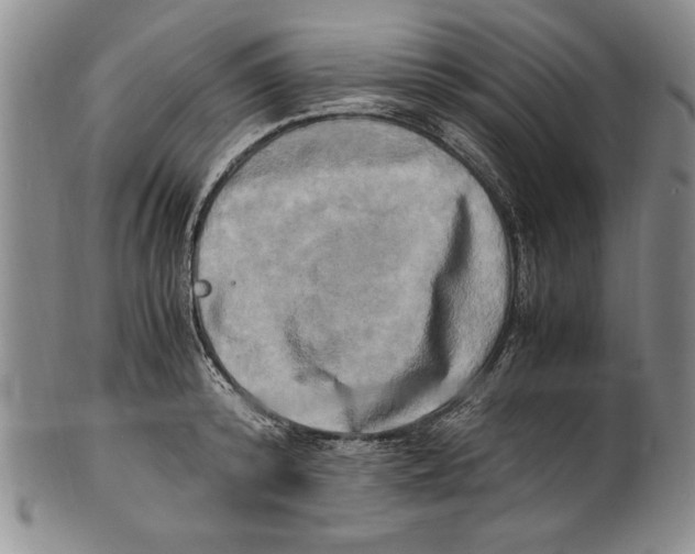 X0000100760800200807171340