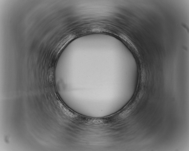 X0000100760801200807171340