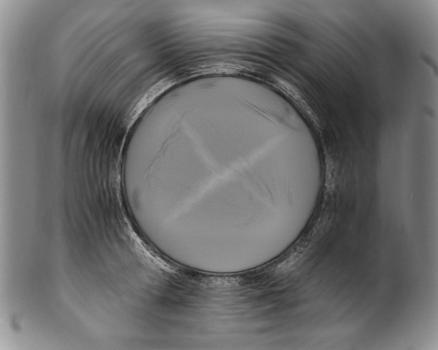 X0000100760802200807171340