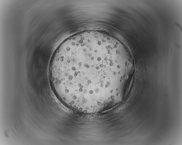X0000100760803200807171340
