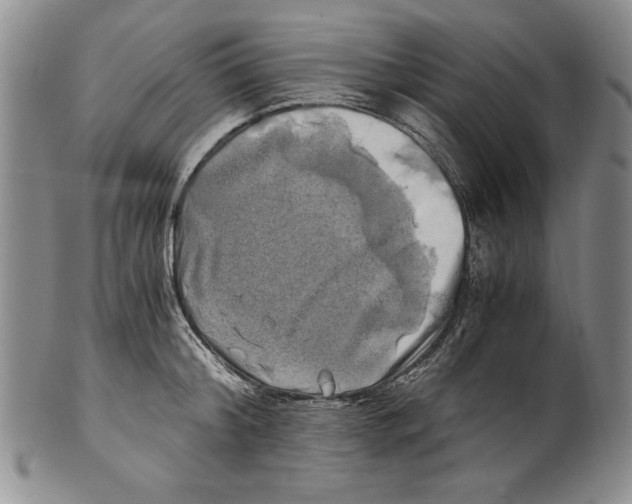 X0000100760804200807171340