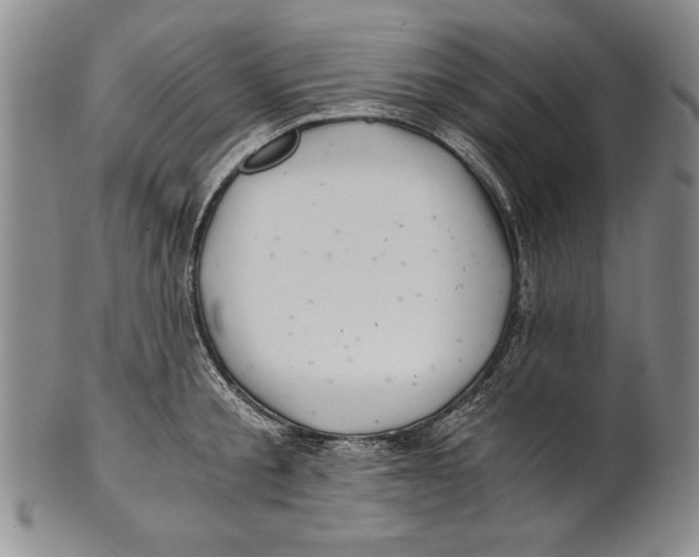 X0000100760805200807171340