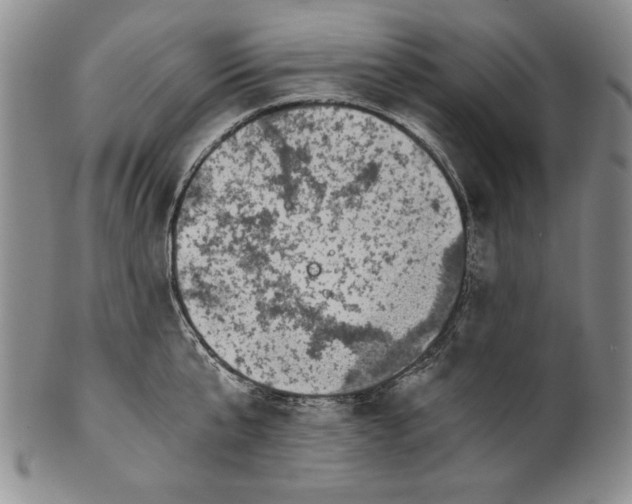 X0000100760807200807171340