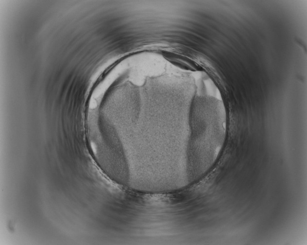 X0000100760808200807171340