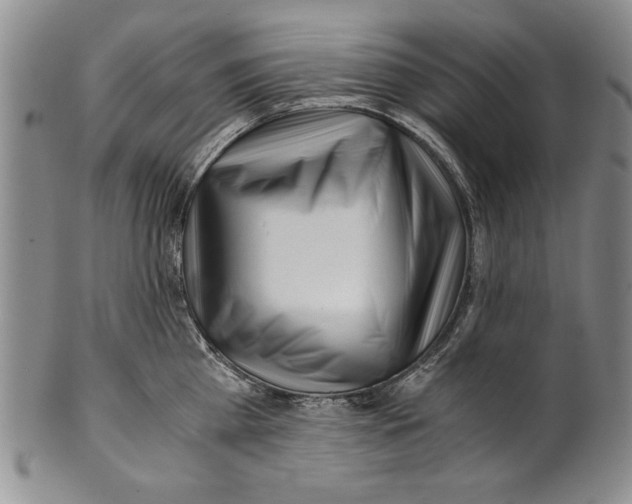 X0000100760809200807171340