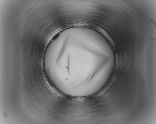 X0000100760810200807171340