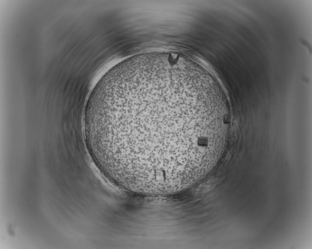 X0000100760811200807171340