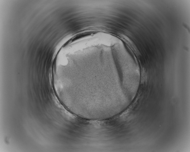X0000100760812200807171340
