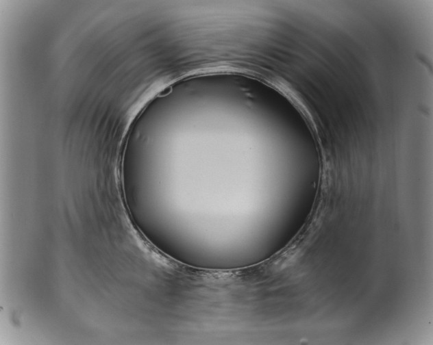 X0000100760813200807171340