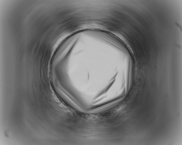 X0000100760815200807171340