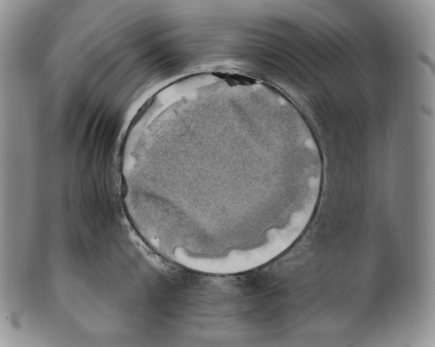 X0000100760816200807171340