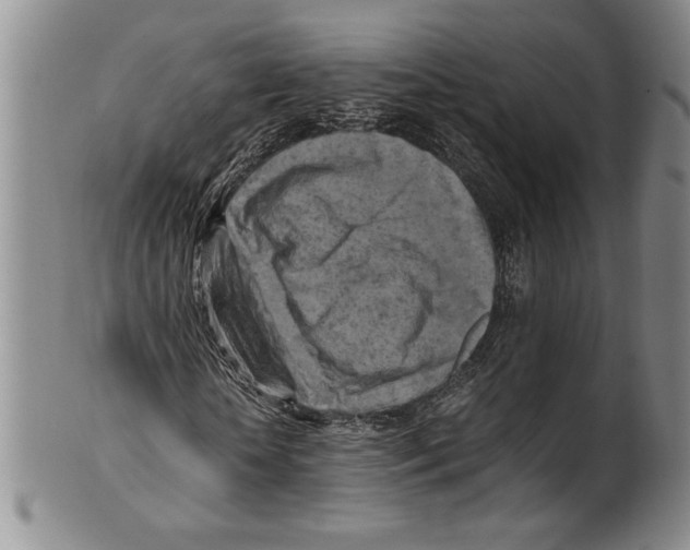 X0000100760818200807171340