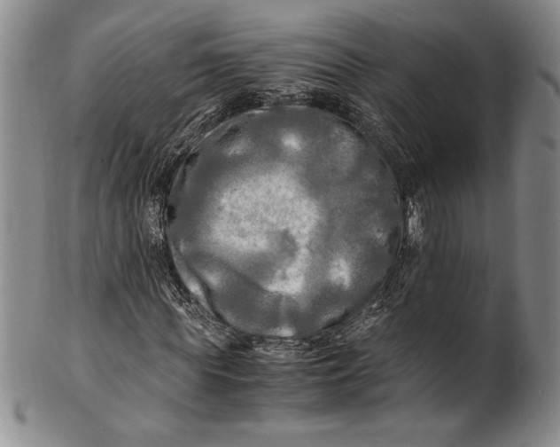X0000100760819200807171340