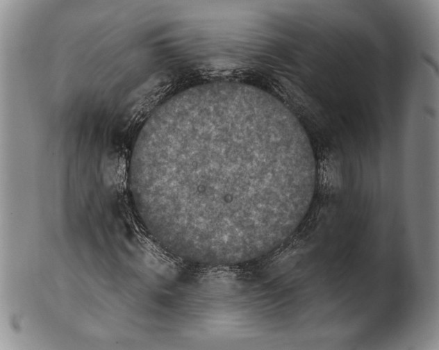 X0000100760820200807171340