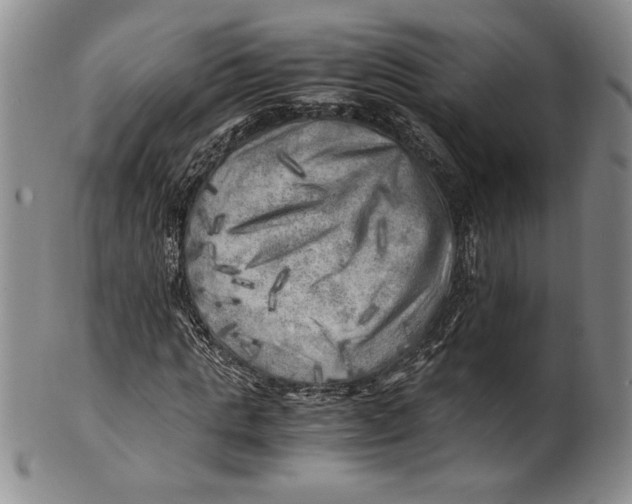 X0000100760821200807171340