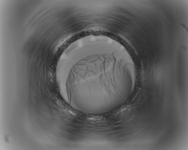X0000100760823200807171340