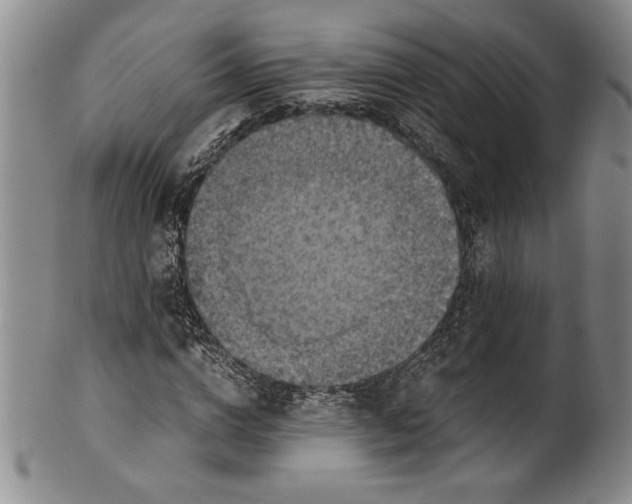 X0000100760824200807171340