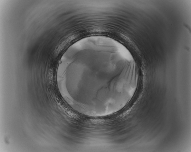 X0000100760825200807171340