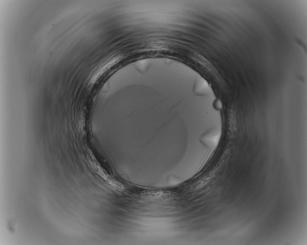 X0000100760826200807171340