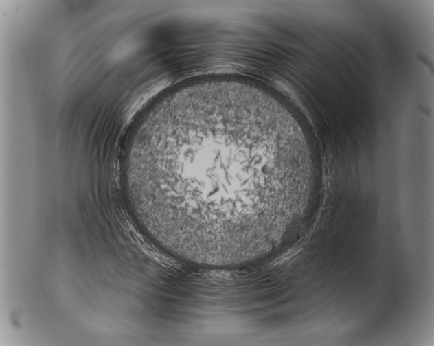 X0000100760827200807171340