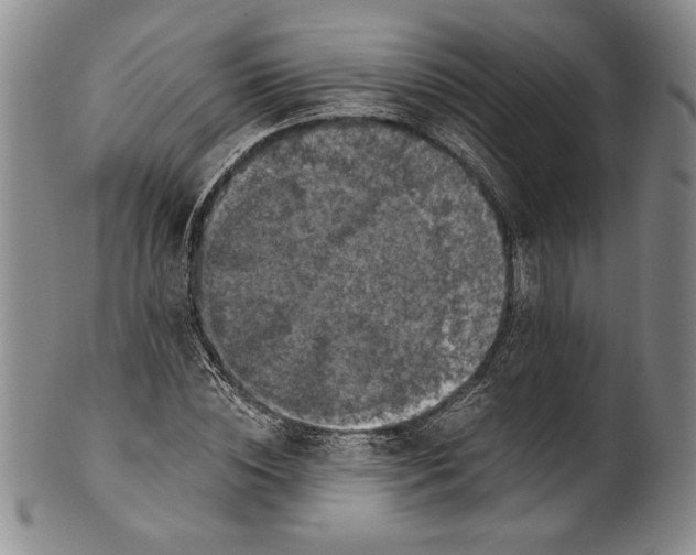 X0000100760828200807171340