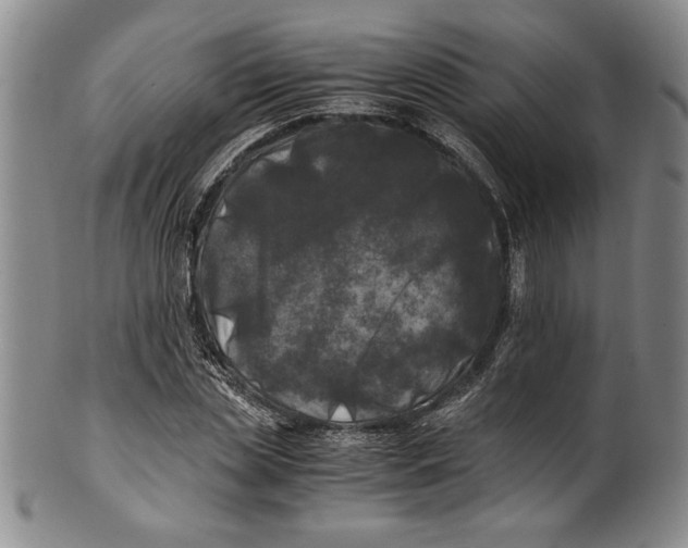 X0000100760829200807171340