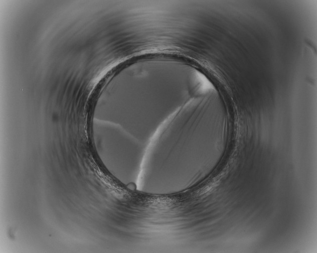 X0000100760830200807171340