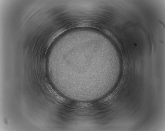 X0000100760831200807171340