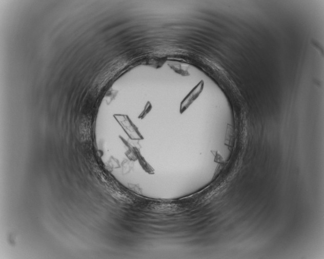 X0000100760833200807171340