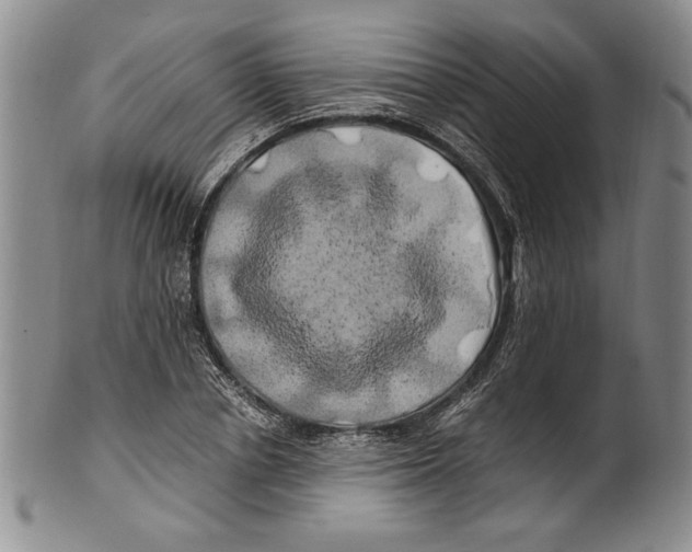 X0000100760834200807171340