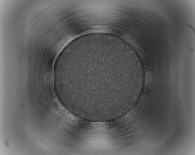 X0000100760836200807171340