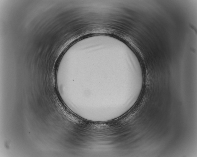 X0000100760837200807171340
