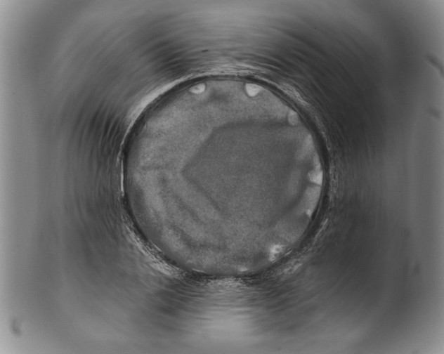 X0000100760838200807171340
