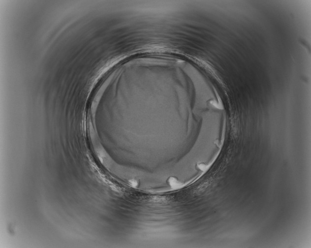 X0000100760839200807171340