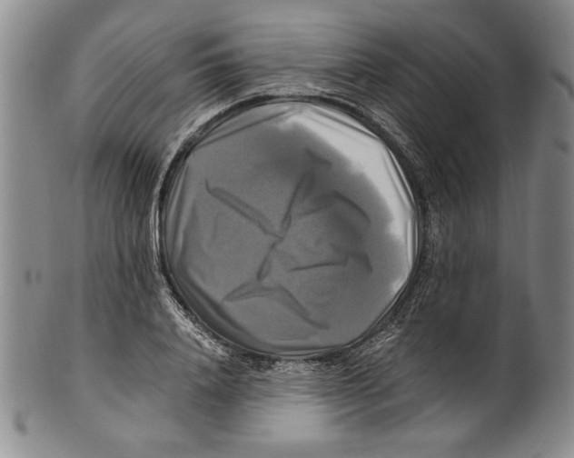 X0000100760840200807171340