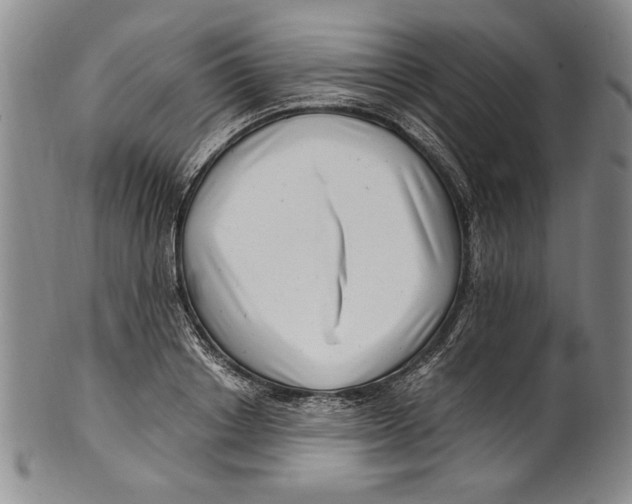 X0000100760842200807171340