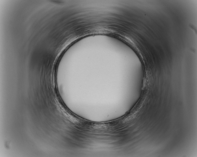 X0000100760843200807171340