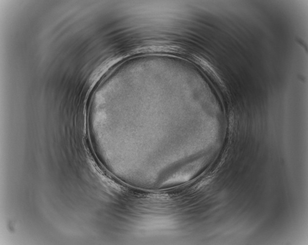 X0000100760844200807171340