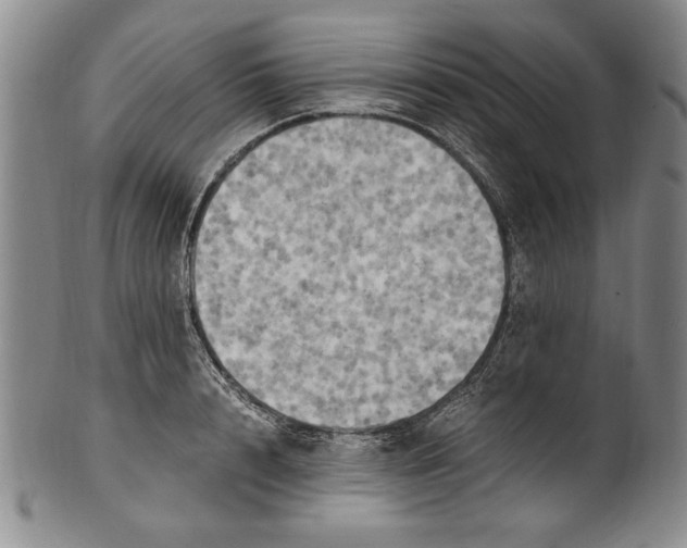 X0000100760848200807171340