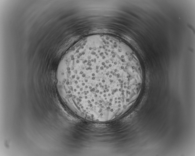 X0000100760849200807171340