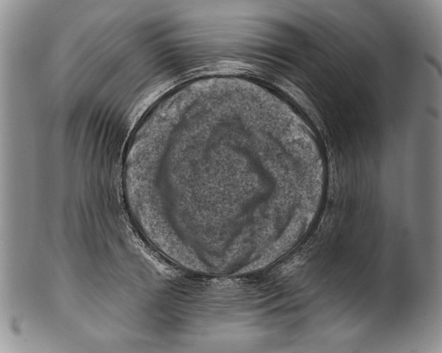 X0000100760850200807171340