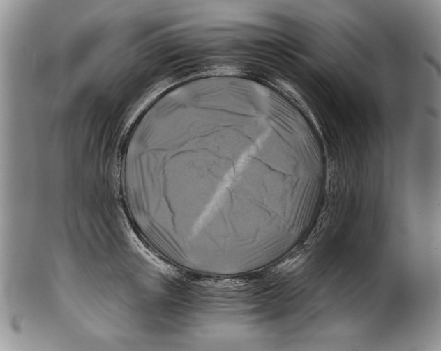 X0000100760851200807171340