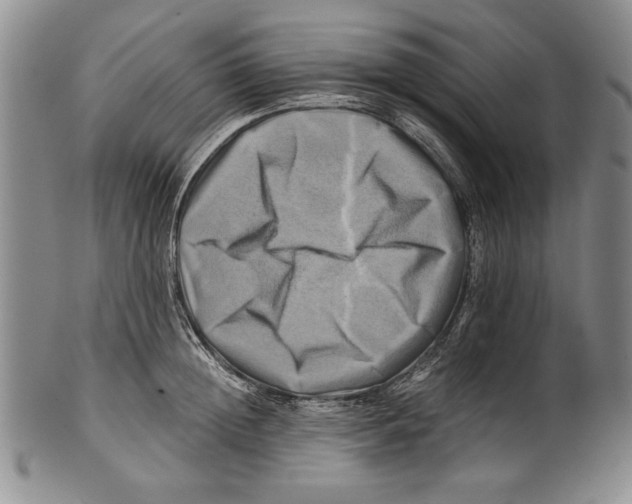X0000100760852200807171340